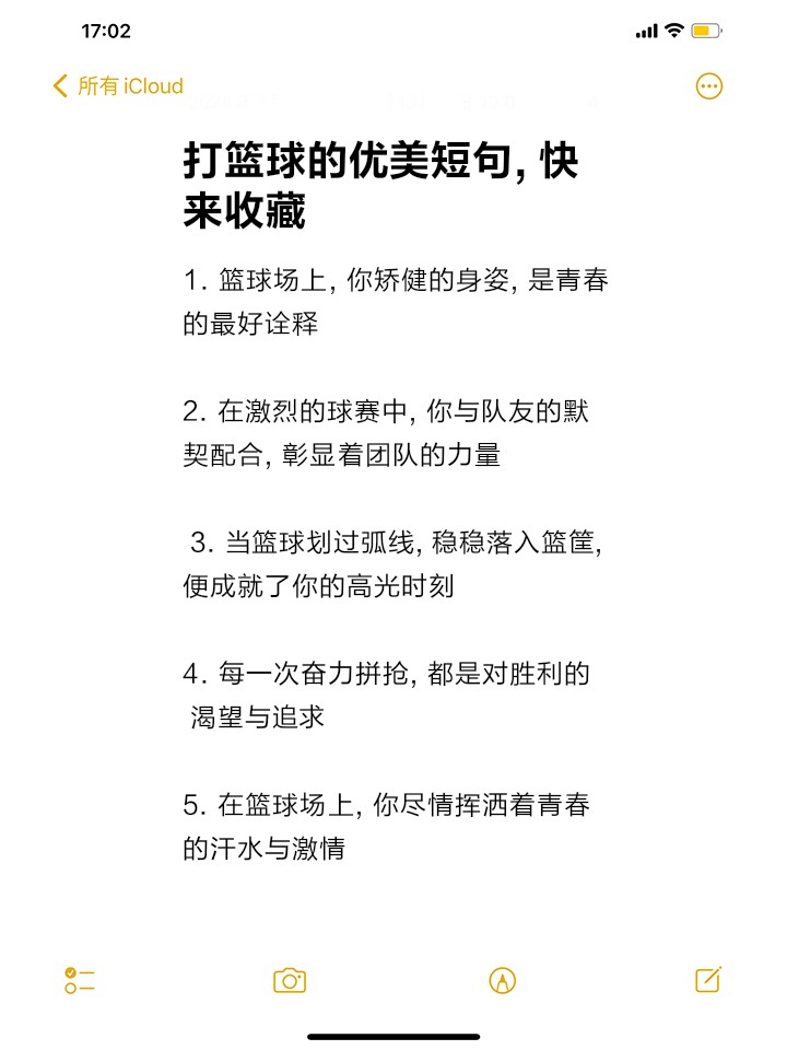 如何在有限时间内最大化篮球训练效果的策略_0